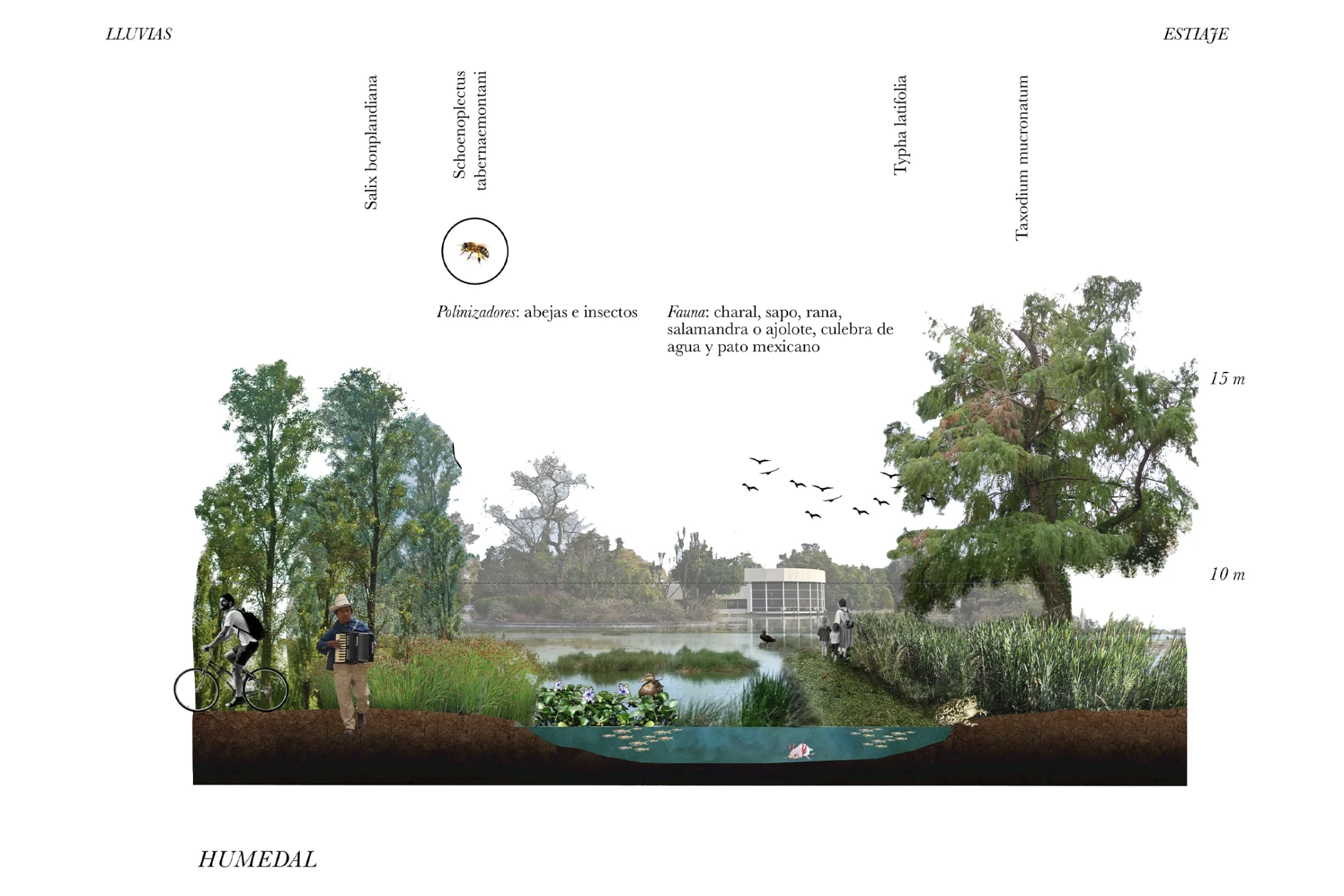 Jardín Etnobotánico Chapultepec