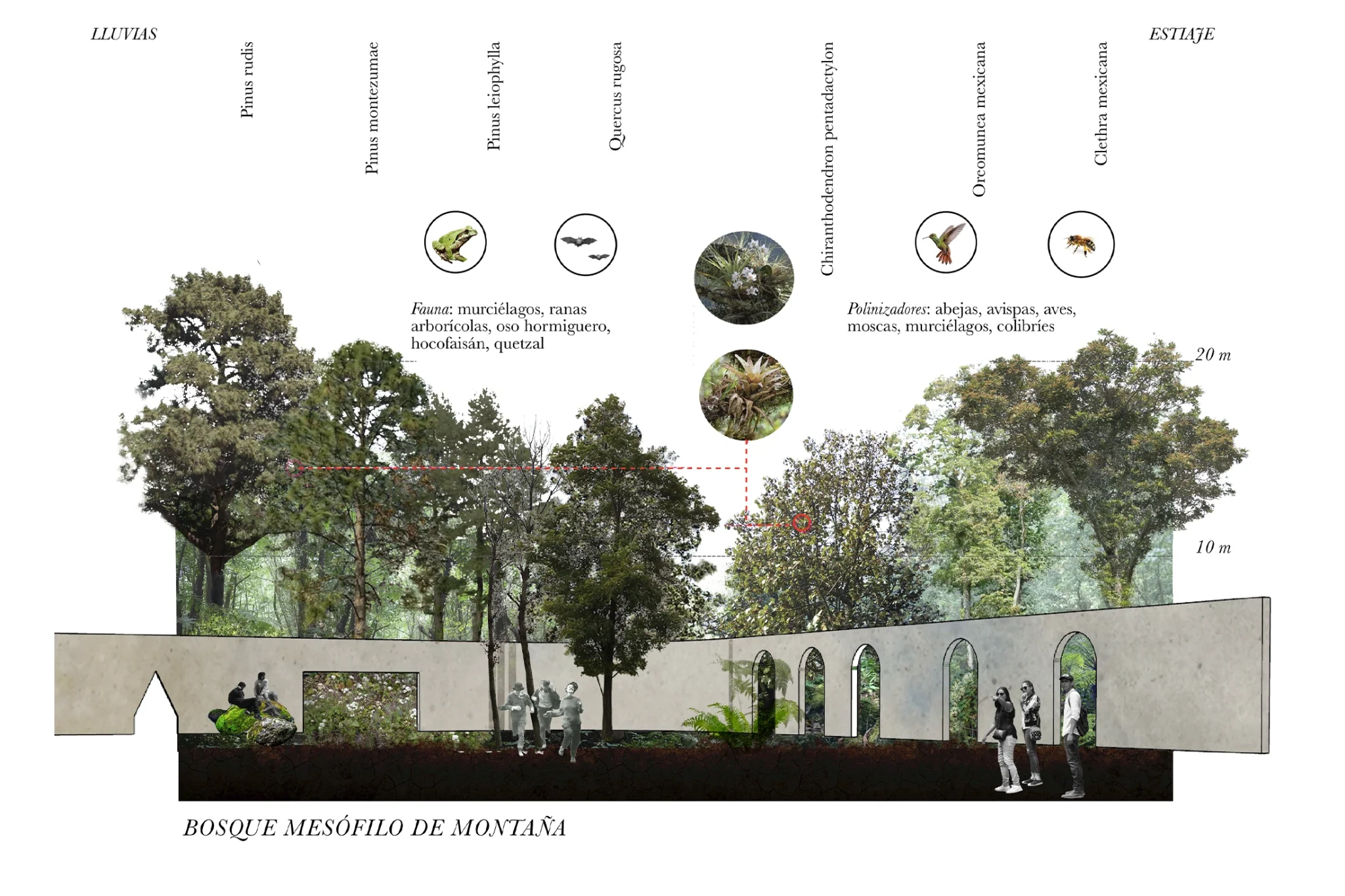 Jardín Etnobotánico Chapultepec